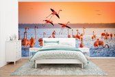 Behang - Fotobehang Vogel - Flamingo - Water - Zonsondergang - Roze - Breedte 500 cm x hoogte 280 cm