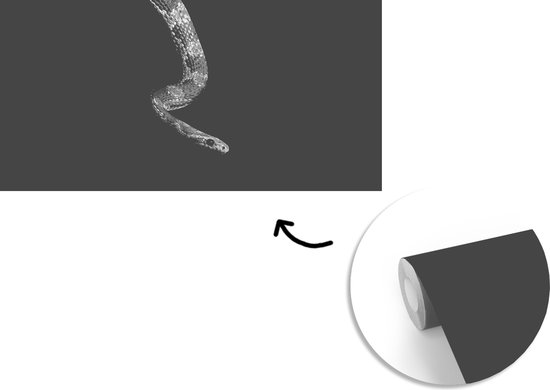 Behang - Fotobehang Dieren - Slang - Zwart - Wit - Portret - Breedte 465 cm x hoogte 260 cm