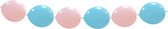 Blauw+Roze Ballonnenslinger, ca. 3 meter