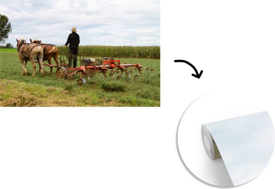 Papier peint photo vinyle - Un homme utilise ses chevaux pour labourer son champ largeur 420 cm x hauteur 280 cm - Tirage photo sur papier peint (disponible en 7 tailles)
