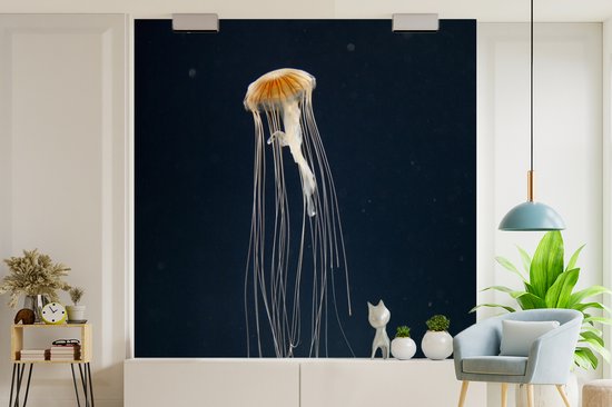 Papier peint Papier peint photo en vinyle - Méduse sur fond sombre largeur 240 cm x hauteur 240 cm - Tirage photo sur papier peint (disponible en 7 tailles)