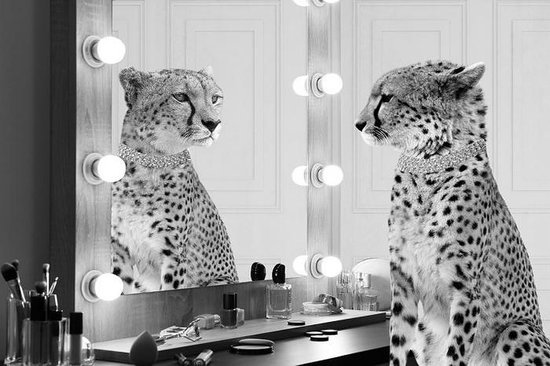 Glasschilderij 120x80 Leopard looking in the mirror