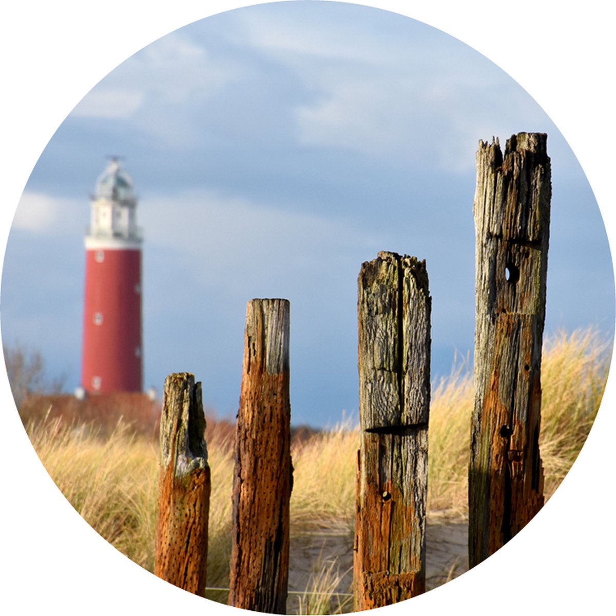 Texelphotos.nl - Muurcirkel -Texel Vuurtoren - Wanddecoratie rond - Wandcirkel - Muurcirkel - Duinen - Strand - Forex – lichtgewicht PVC - 60x60 cm - Binnen en Buiten