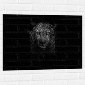 Muursticker - Sluipende Panter (zwart/wit) - 80x60 cm Foto op Muursticker