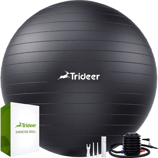 Ballon D'exercice VirtuFit 45 Cm – Pilates Et Gym Anti-éclatement, Avec Pompe, Couleur Grise