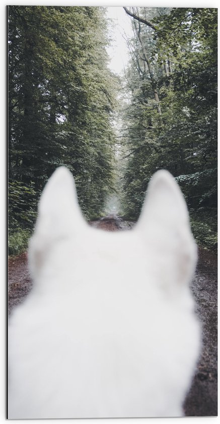 WallClassics - Dibond - Achterkant Witte Hond in het Bos - 50x100 cm Foto op Aluminium (Met Ophangsysteem)