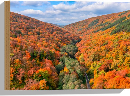 Hout - Uitzicht van een Kleurrijk Bos in de Herfst - 40x30 cm - 9 mm dik - Foto op Hout (Met Ophangsysteem)