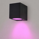 Ledvion Smart Wandlamp Buiten - San Diego - Zwart - 4.9W - RGB+CCT