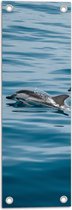 Tuinposter – Dolfijnen Boven het Water - 20x60 cm Foto op Tuinposter (wanddecoratie voor buiten en binnen)