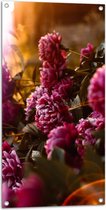 Tuinposter – Felle Roze bloemen met Planten - 50x100 cm Foto op Tuinposter (wanddecoratie voor buiten en binnen)