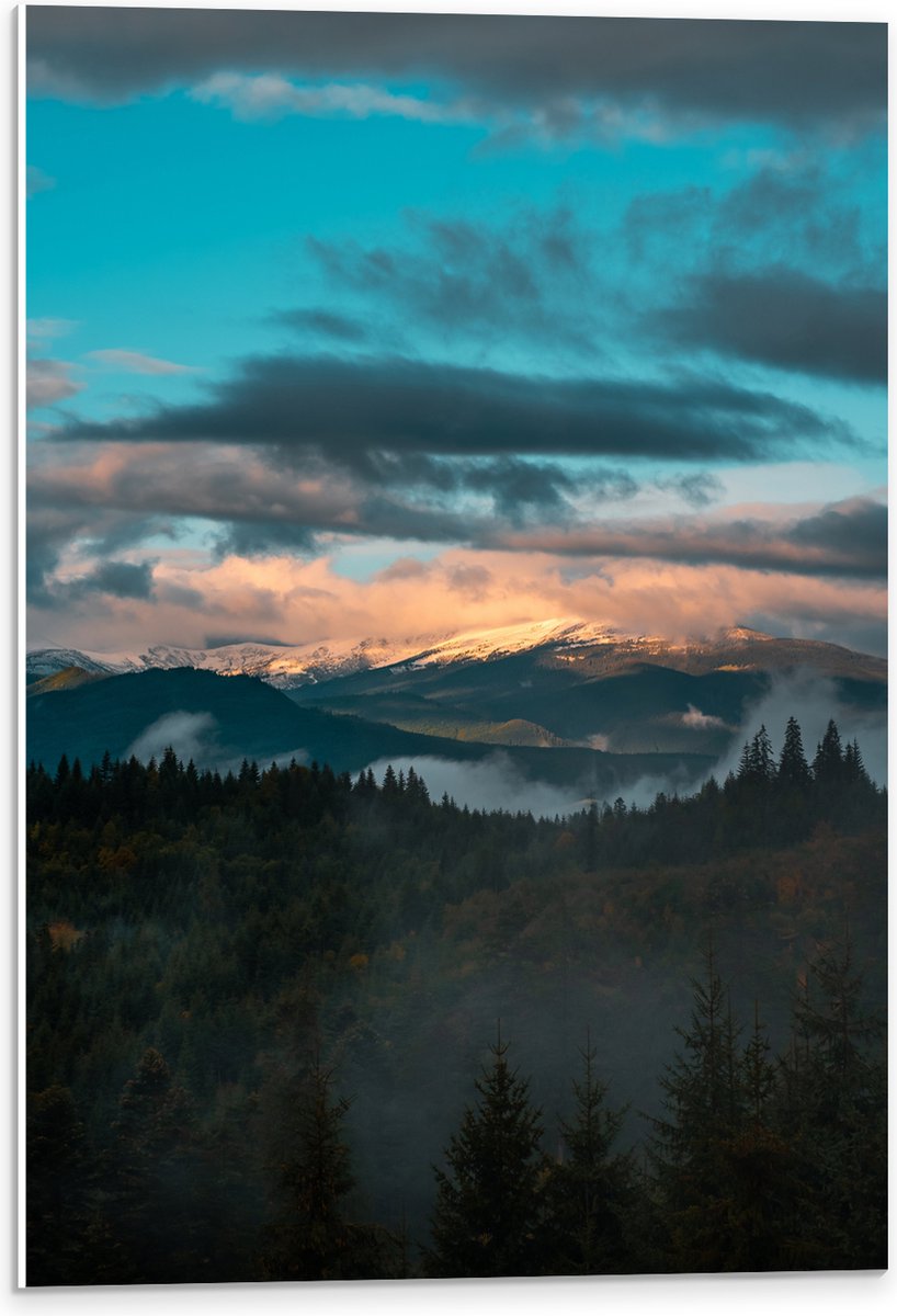 PVC Schuimplaat - Bos aan de Rand van Berglandschap onder Sluierbewolking - 40x60 cm Foto op PVC Schuimplaat (Met Ophangsysteem)