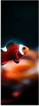WallClassics - Poster (Mat) - Nemo Vis - 20x60 cm Foto op Posterpapier met een Matte look