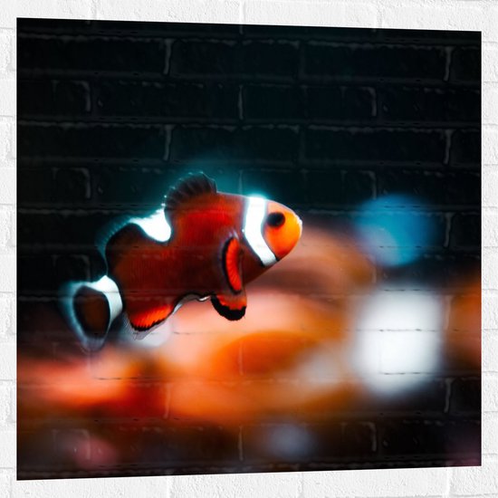 Foto: Wallclassics muursticker nemo vis 80x80 cm foto op muursticker