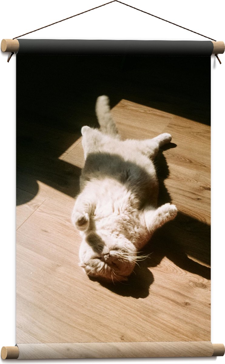 Textielposter - Bruinkleurige Kat Liggend op Houten Vloer in het Zonnetje - 40x60 cm Foto