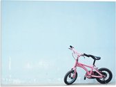 WallClassics - Drapeau - Vélo pour enfant rose contre mur bleu - Photo 40x30 cm sur drapeau en polyester