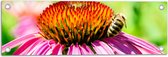 Tuinposter – Bij Zittend op Middenstuk van Roze Bloem - 60x20 cm Foto op Tuinposter (wanddecoratie voor buiten en binnen)