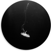 PVC Schuimplaat Muurcirkel - Eenzame Witte Kwal - 60x60 cm Foto op Muurcirkel (met ophangsysteem)