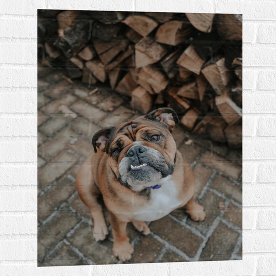 WallClassics - Muursticker - Franse Bulldog naast Brandhout - 60x80 cm Foto op Muursticker