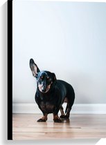 WallClassics - Canvas - Luisterende Zwarte Hond - 40x60 cm Foto op Canvas Schilderij (Wanddecoratie op Canvas)