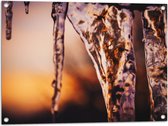 WallClassics - Tuinposter – IJspegels - 80x60 cm Foto op Tuinposter (wanddecoratie voor buiten en binnen)
