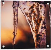 WallClassics - Poster de jardin - Glaçons - 50x50 cm Photo sur poster de jardin (décoration murale pour extérieur et intérieur)