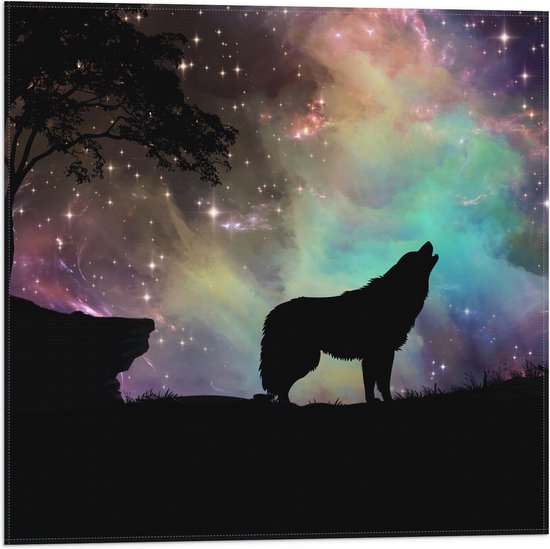 WallClassics - Vlag - Silhouette van een Wolf bij Sterrenhemel - 50x50 cm Foto op Polyester Vlag