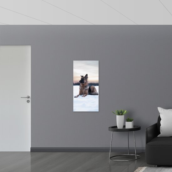 WallClassics - Dibond - Berger dans la neige - Photo sur aluminium 50x100 cm (Décoration murale en métal)