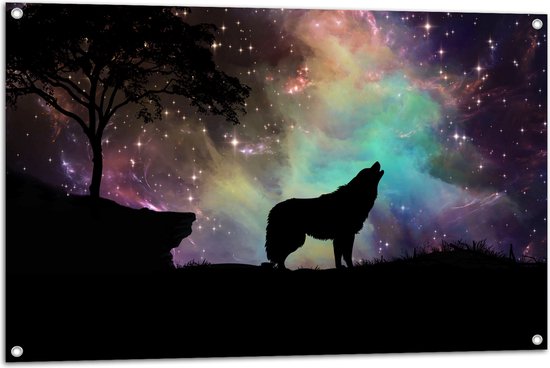 WallClassics - Tuinposter – Silhouette van een Wolf bij Sterrenhemel - 105x70 cm Foto op Tuinposter (wanddecoratie voor buiten en binnen)