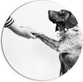 WallClassics - Dibond Muurcirkel - Hond Geeft Poot Zwart - Wit - 70x70 cm Foto op Aluminium Muurcirkel (met ophangsysteem)