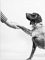 WallClassics - Poster Glanzend – Hond Geeft Poot Zwart - Wit - 30x40 cm Foto op Posterpapier met Glanzende Afwerking
