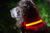 IA LED Light Up Pet Collar - Hondenhalsband - S/M - 31-41cm - Roze