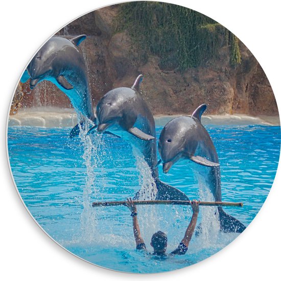 WallClassics - PVC Schuimplaat Muurcirkel - Springende Dolfijnen - 50x50 cm Foto op Muurcirkel (met ophangsysteem)