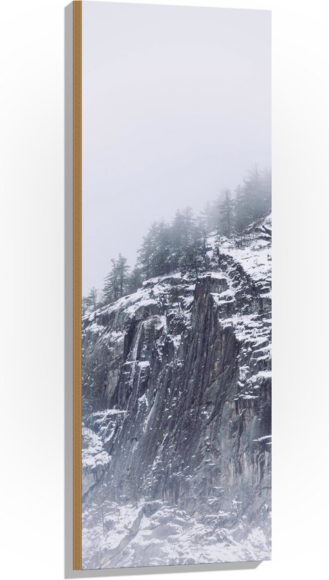 WallClassics - Hout - Besneeuwde Bergen in de Mist - 40x120 cm - 9 mm dik - Foto op Hout (Met Ophangsysteem)