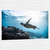 WallClassics - Muursticker - Tropische Zeeschildpad onder het Wateroppervlak - 120x80 cm Foto op Muursticker