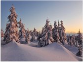 Poster Glanzend – Dikke Laag Sneeuw in Open Bos met Bomen - 80x60 cm Foto op Posterpapier met Glanzende Afwerking