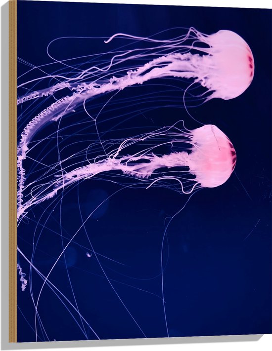 WallClassics - Hout - Roze Kwallen zwemmend in Blauwe Zee - 60x80 cm - 9 mm dik - Foto op Hout (Met Ophangsysteem)