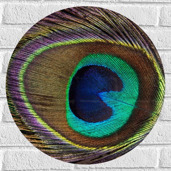 Muursticker Cirkel - Kleurrijke Pauwen Veer van Dichtbij - 50x50 cm Foto op Muursticker