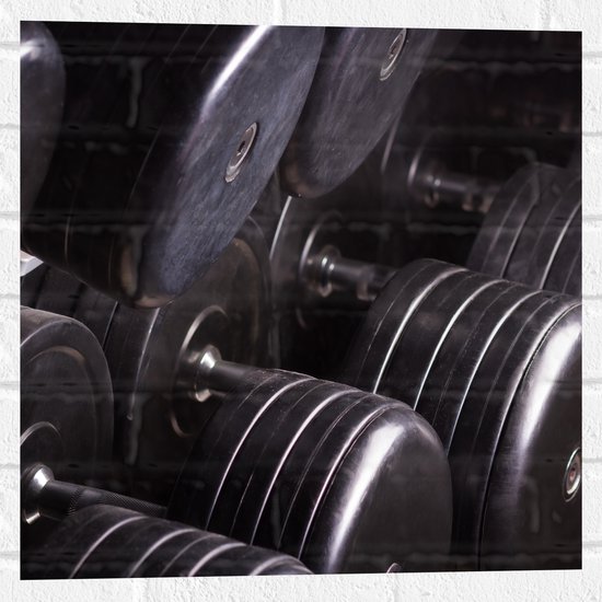Foto: Muursticker foto van rek vol dumbells in sportschool 50x50 cm foto op muursticker