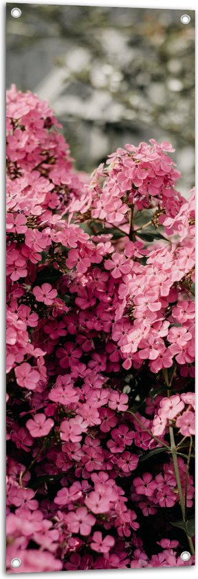 Tuinposter – Roze Bloementjes - 40x120 cm Foto op Tuinposter (wanddecoratie voor buiten en binnen)