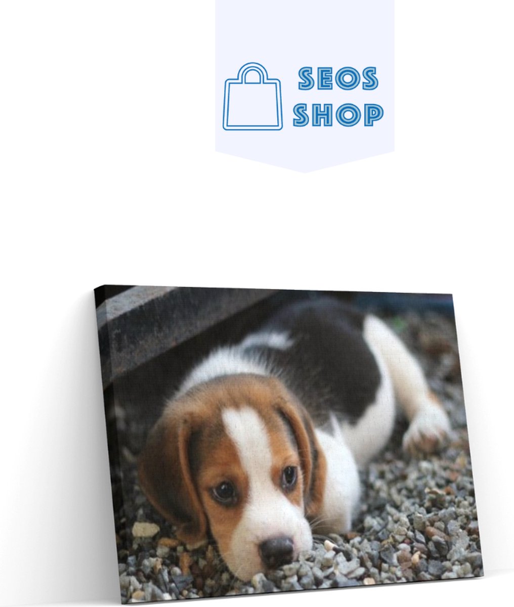 Diamond Painting Pakket Beagle - Volledig - Full - Diamond Paintings - 50x30 cm - Vierkant - SEOS Shop ®