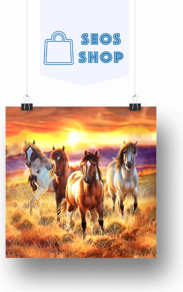 SEOS Shop ® Diamond Painting Volwassenen - Diamond Painting Kinderen - Diamond Painting Pakket Volledig - Paarden in het Veld - 40x40 cm