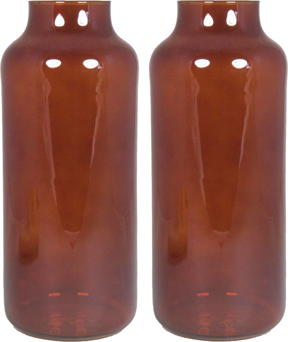 Floran - bloemenvazen - 2x stuks - bruin/transparant glas - H35 x D15 cm