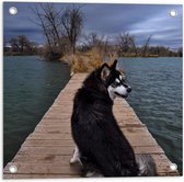 WallClassics - Tuinposter – Zwarte Alaska Hond op Brug over het Water - 50x50 cm Foto op Tuinposter (wanddecoratie voor buiten en binnen)
