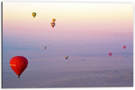 WallClassics - Dibond - Ballonvaarten in Verschillende Luchtballonnen - 60x40 cm Foto op Aluminium (Wanddecoratie van metaal)