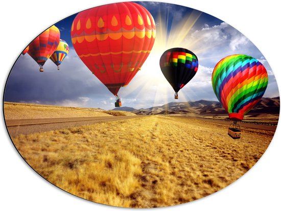 WallClassics - Dibond Ovaal - Groep Luchtballonnen in Verschillende Kleuren boven Droog Landschap - 68x51 cm Foto op Ovaal (Met Ophangsysteem)