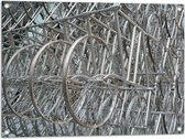 WallClassics - Tuinposter – Rekken vol Fietswielen - 80x60 cm Foto op Tuinposter (wanddecoratie voor buiten en binnen)