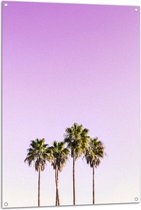Tuinposter – Vier Hoge Smalle Palmbomen op Pastelroze Achtergrond - 80x120 cm Foto op Tuinposter (wanddecoratie voor buiten en binnen)