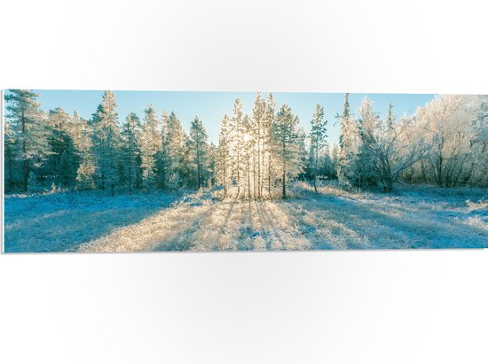 PVC Schuimplaat - Ochtend Zonnestralen over Wit Sneeuwlandschap - 90x30 cm Foto op PVC Schuimplaat (Met Ophangsysteem)