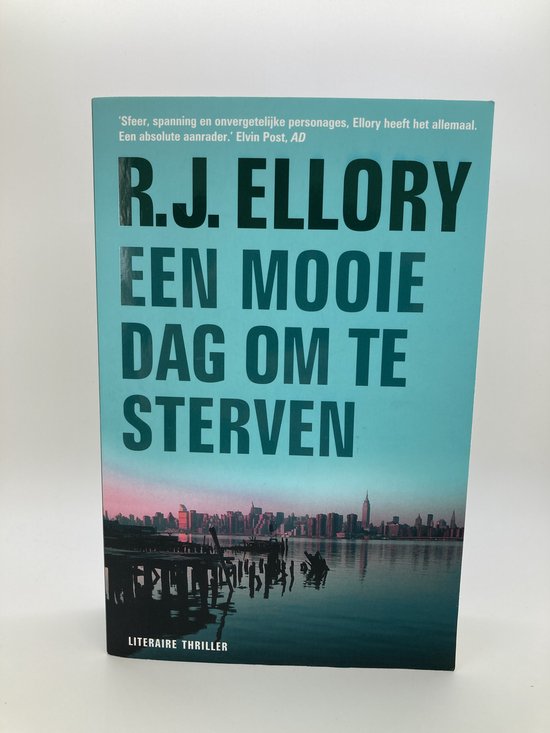Cover van het boek 'Een mooie dag om te sterven' van R. Ellory