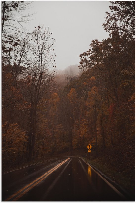 Poster Glanzend – Natgeregende Weg tussen Hoge Bomen in Herfst Tinten - 40x60 cm Foto op Posterpapier met Glanzende Afwerking
